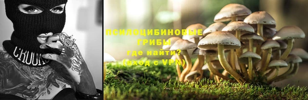 эйфоретик Арсеньев