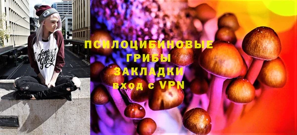 гидра Аркадак
