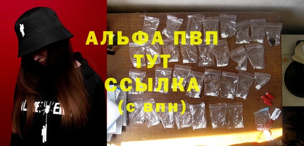 эйфоретик Арсеньев