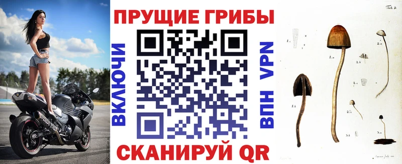 Галлюциногенные грибы мицелий  Бахчисарай 